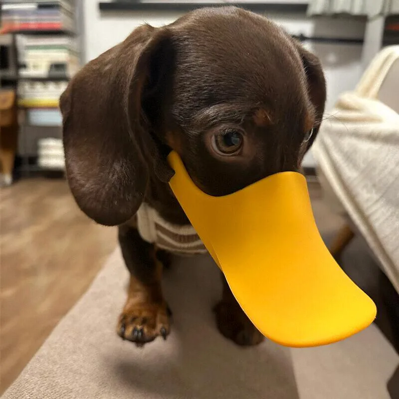 Dog Muzzle Silicone - Dog Silicone Duck Muzzle For Wiener