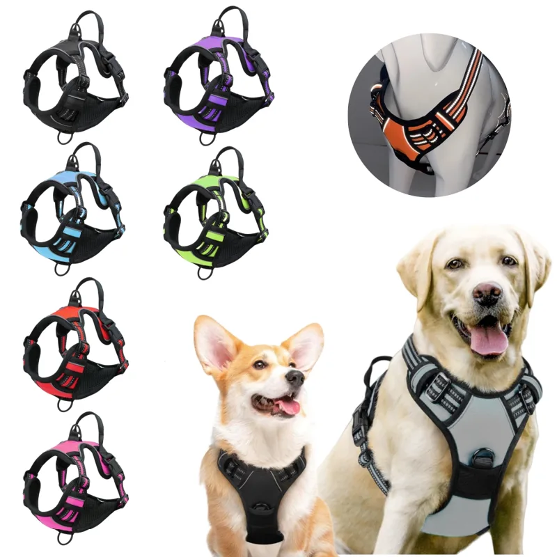 No Pull Dog Harness - No Pull Dog Harness Large Dog