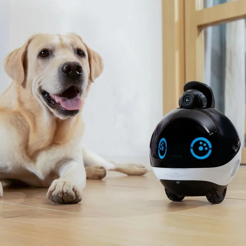 Interactive Cat Toy - Smart Family Robot HD Monitoring Real-time
