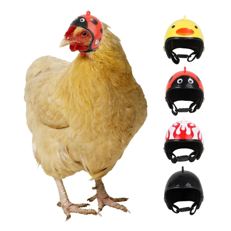 Pet X Supplies & Tack Grooming - ABS Pet Supplies Funny Pet Protective
