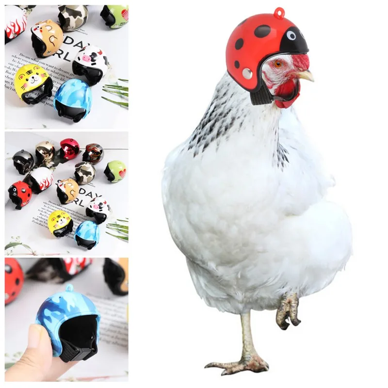 Pet X Supplies & Tack Grooming - ABS Funny Pet Supplies Pet Protective