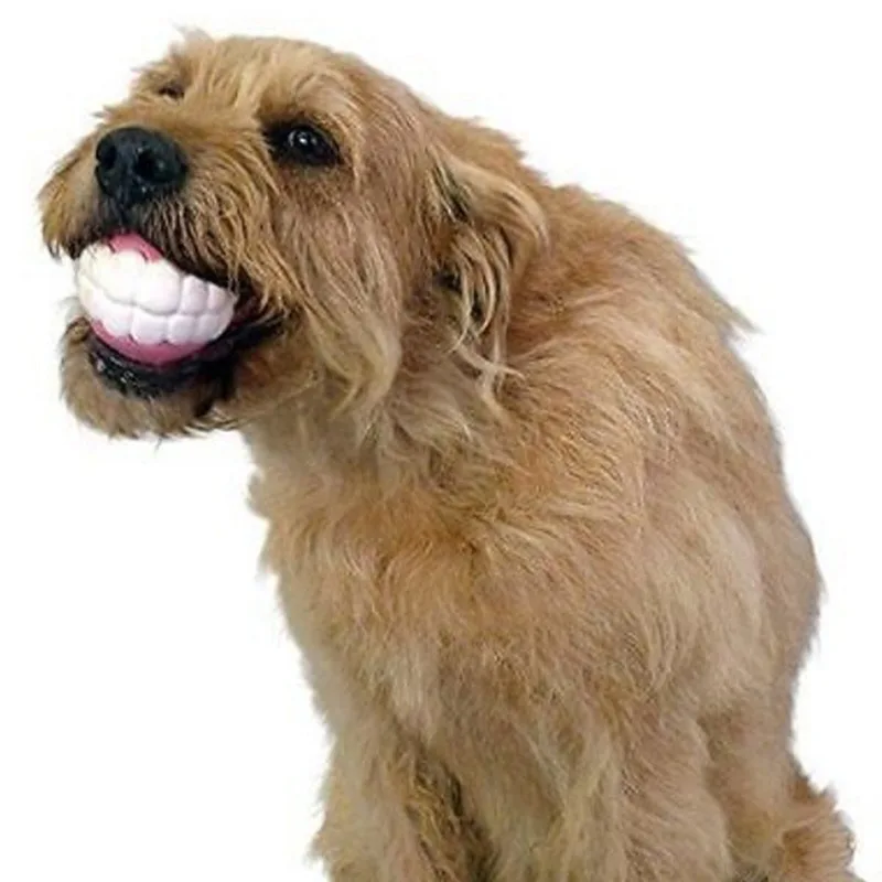 Pet Dog Puppy Ball Teeth Silic - Dog Muzzle Silicone 评论和价格