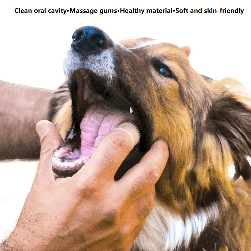 3PCS Dental Cleaning Dog Teeth - Dog Muzzle Silicone 评论和价格