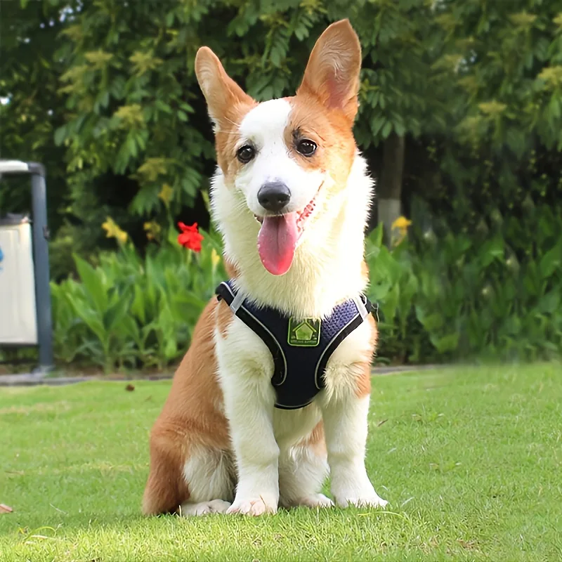 Reflective Pet Harness And Lea - No Pull Dog Harness 评论和价格