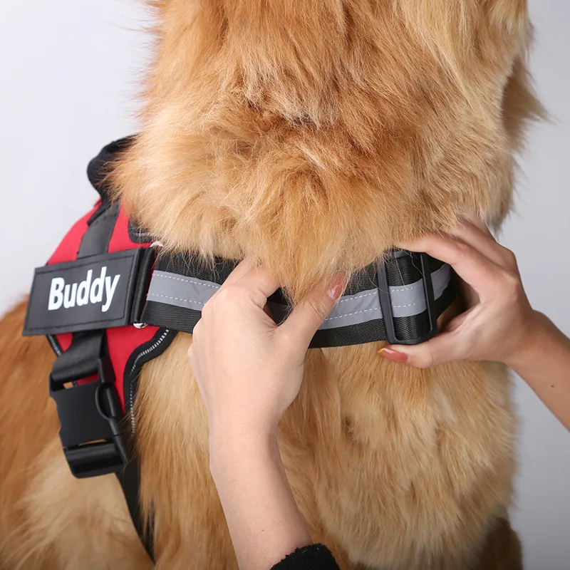 Customized Reflective Breathab - No Pull Dog Harness 评论和价格