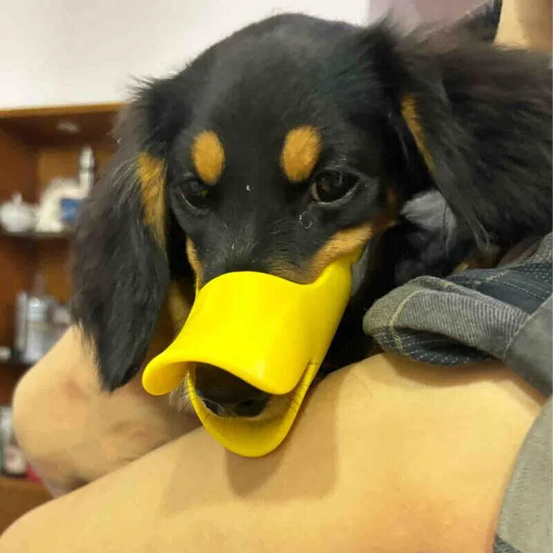 Dog Silicone Duck Muzzle For W - Dog Muzzle Silicone 评论和价格