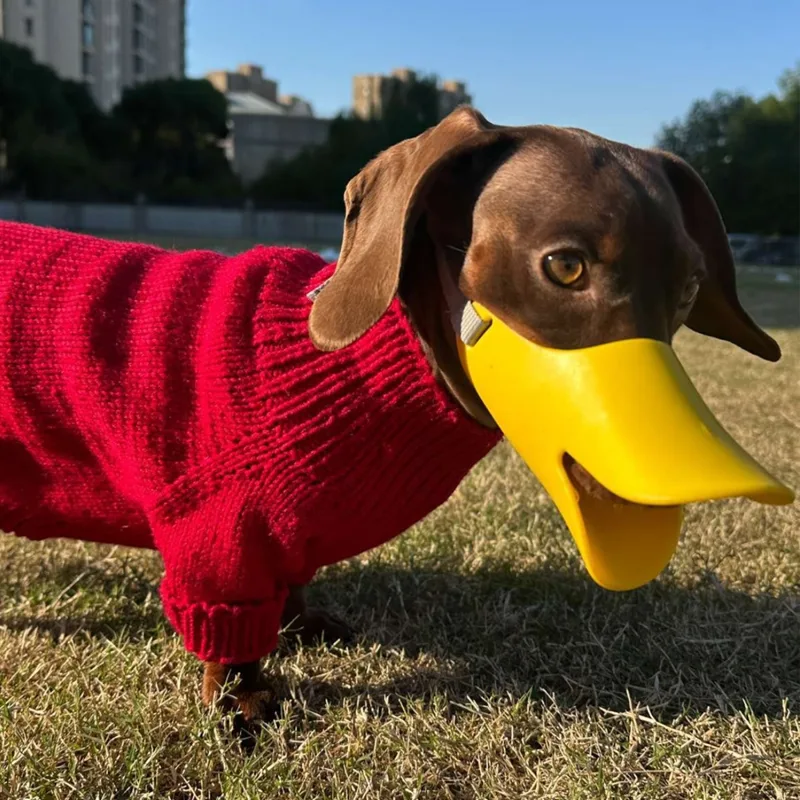 Dog Silicone Duck Muzzle For W - Dog Muzzle Silicone 评论和价格