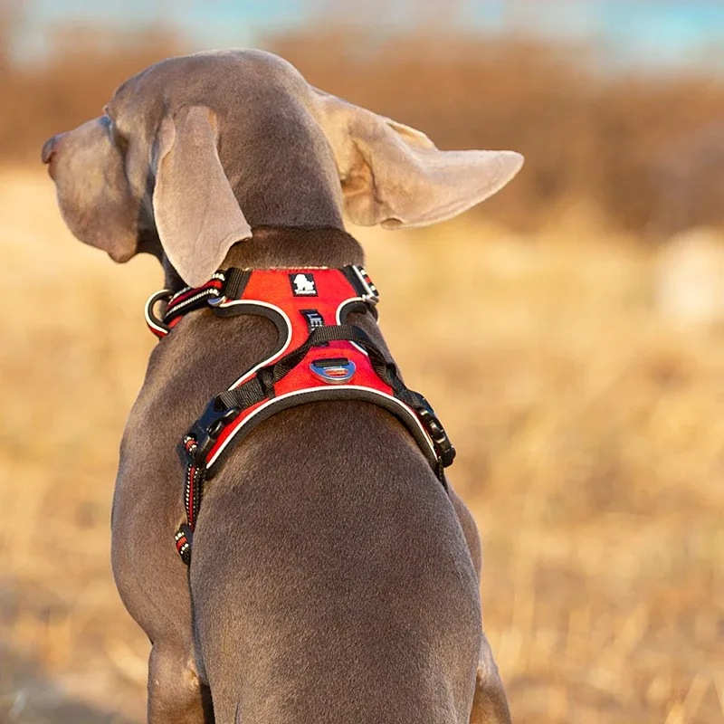 Truelove Pet Reflective Nylon  - No Pull Dog Harness 评论和价格