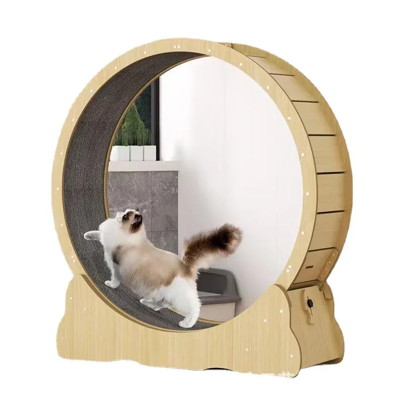 Cat fitness wheel indoor toy c - Interactive Cat Toy 评论和价格