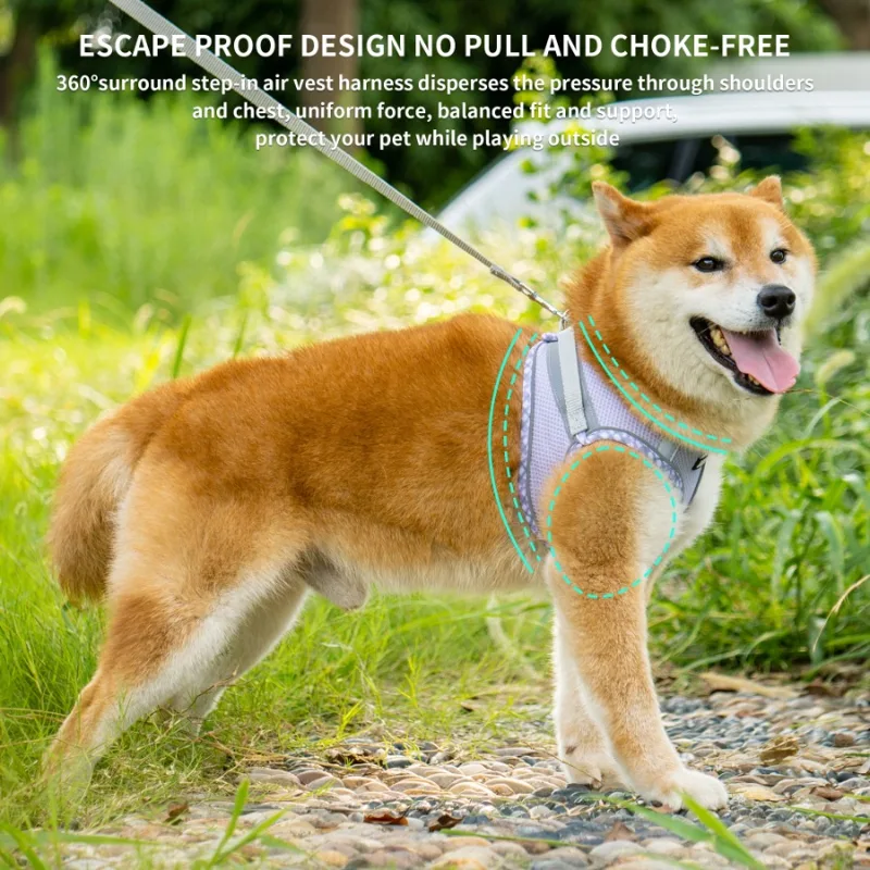 Adjustable Reflective Extra Sm - No Pull Dog Harness 评论和价格