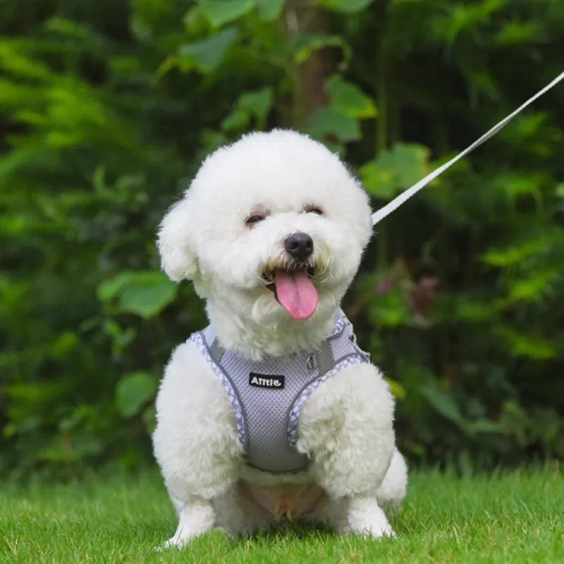 Adjustable Reflective Extra Sm - No Pull Dog Harness 评论和价格