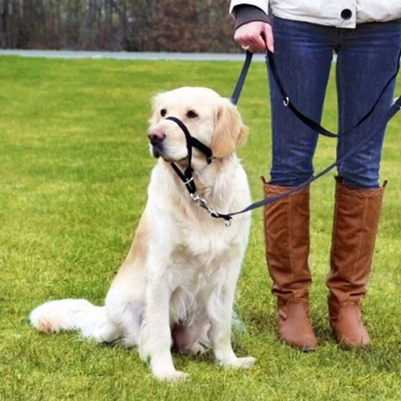 Adjustable Anti barking Non Pu - No Pull Dog Harness 评论和价格
