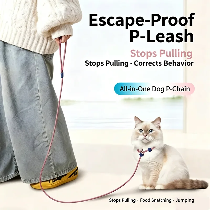 160Cm Lightweight Nylon P Leas - No Pull Dog Harness 评论和价格