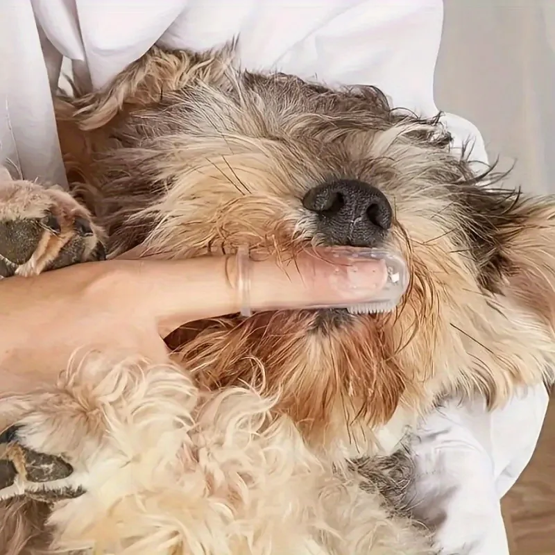 5 Pet Finger Toothbrushes for  - Dog Muzzle Silicone 评论和价格