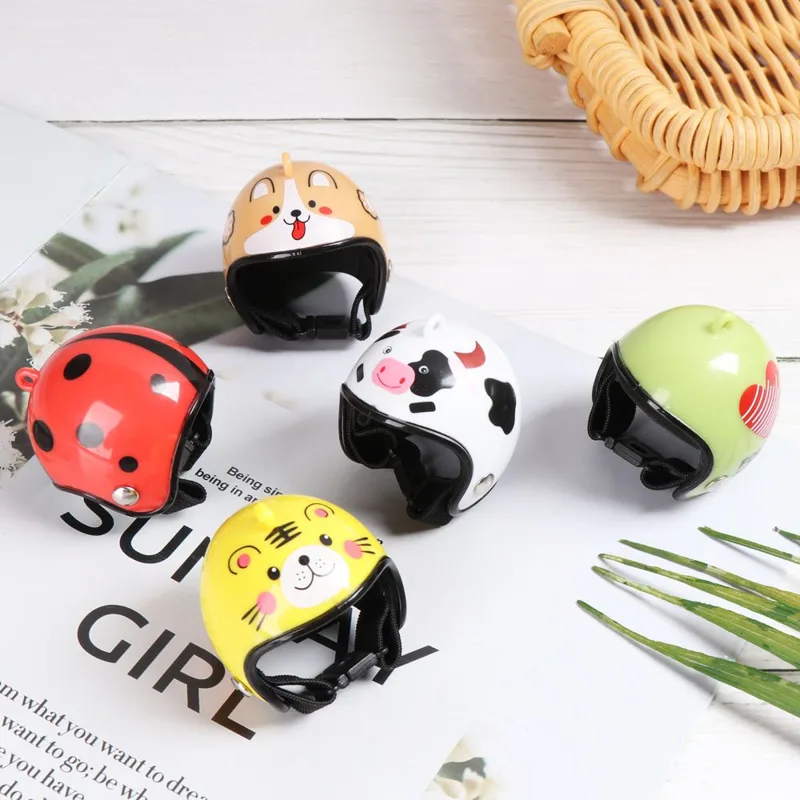 ABS Pet Supplies Funny Pet Pro - Pet X Supplies & Tack Grooming 评论和价格
