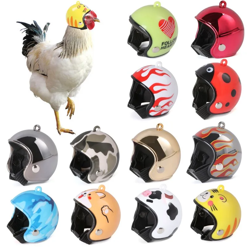 ABS Pet Supplies Funny Pet Pro - Pet X Supplies & Tack Grooming 评论和价格