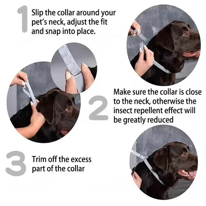 Dog Collars Puppy Dog Cats 72c - Dog Muzzle Silicone 评论和价格