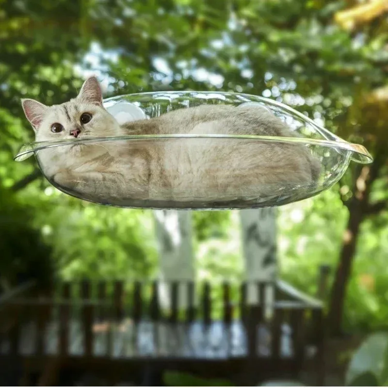 Window Bed for Cats Kitten Acc - Pet Supplies Delivery 评论和价格