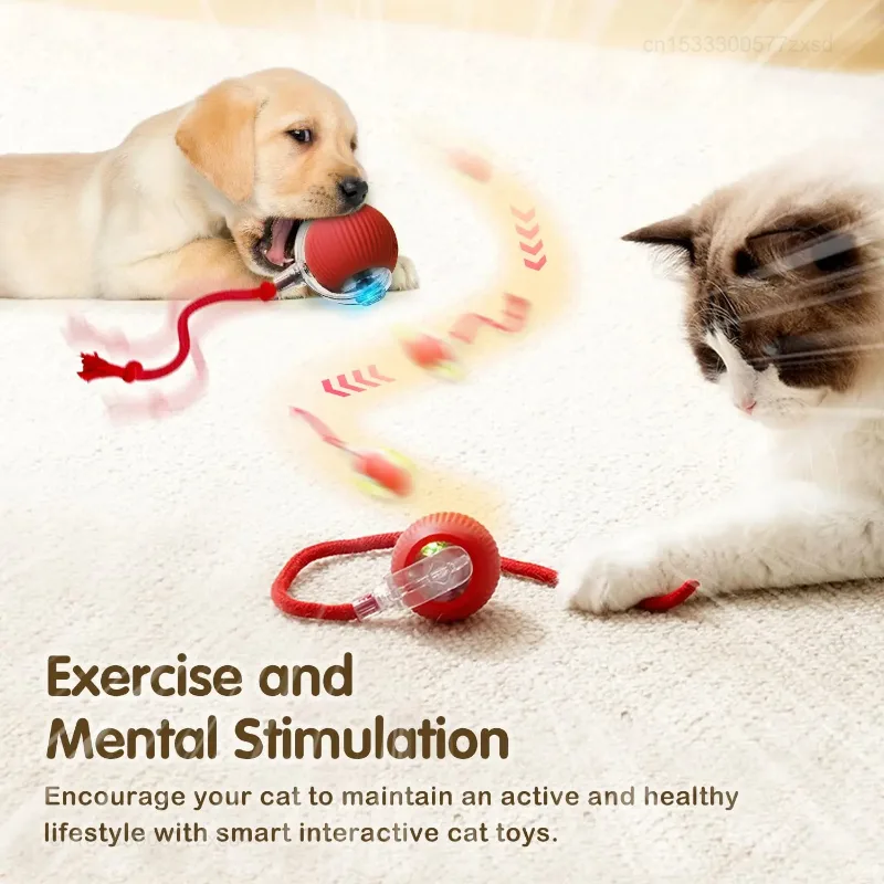Cat Interactive Ball Toy Autom - Interactive Cat Toy 评论和价格