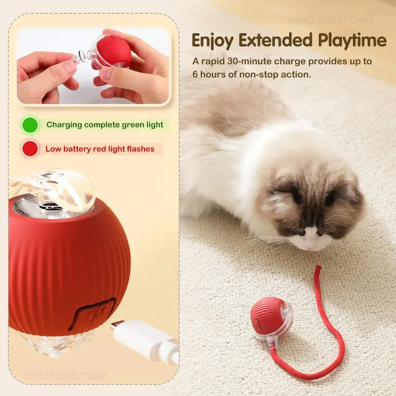Cat Interactive Ball Toy Autom - Interactive Cat Toy 评论和价格