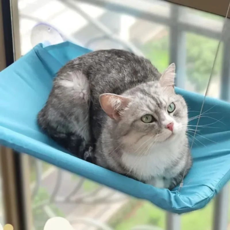 Pet Nest Creative Cat Hanging  - Pet Supplies Delivery 评论和价格